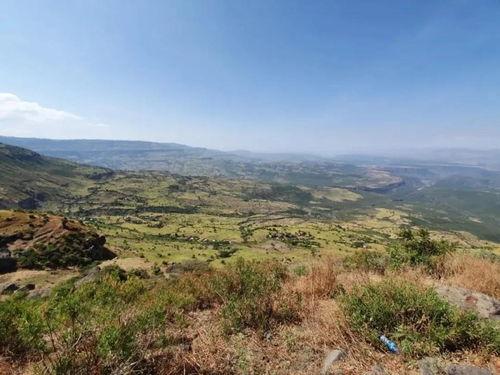 望远吃瓜,揭秘网络舆论场中的趣味与真相