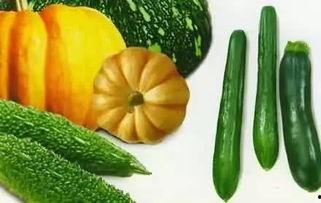 望远吃瓜,揭秘网络舆论场中的趣味与真相