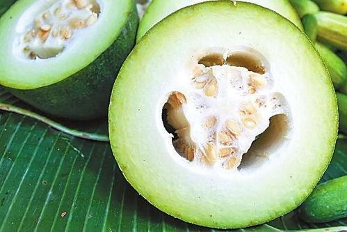 李星龙吃瓜,揭秘娱乐圈背后的真相