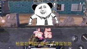 吃瓜改编版,揭秘娱乐圈幕后真相