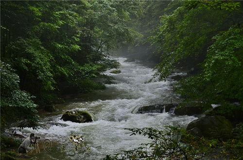 武陵源吃瓜,一场别开生面的吃瓜之旅