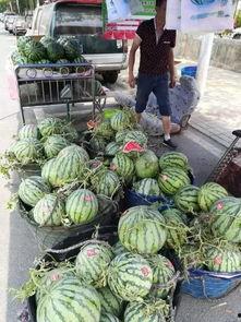 邯郸武安吃瓜事件,一场引发社会关注的网络热议