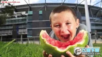 西瓜君吃瓜视频,揭秘娱乐圈幕后故事