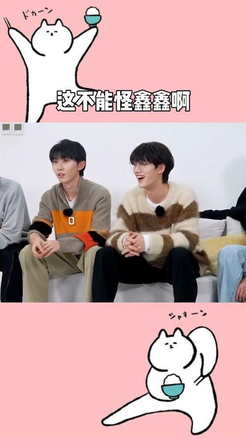 鑫鑫吃瓜日记,揭秘娱乐圈幕后故事