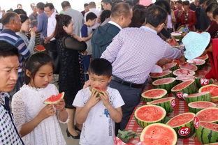 2024免费吃瓜内黄群众,内黄群众共享欢乐时光