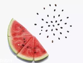 只吃里面籽的瓜,探寻只食籽的瓜类美食之旅