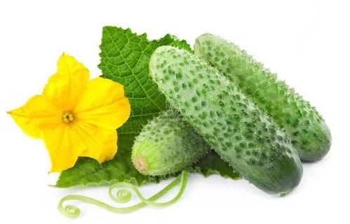 楚思清吃瓜系统,揭秘娱乐圈幕后风云