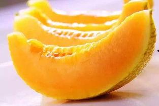吃哈密瓜篇,甜蜜滋味，尽享夏日清凉