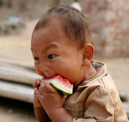 懂事的吃瓜男孩,揭秘校园里的“小大人”现象