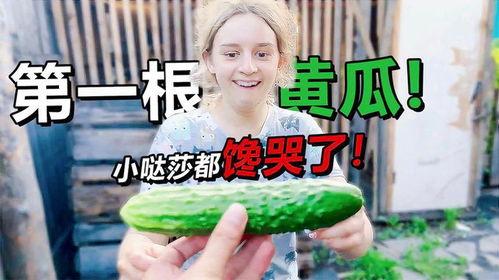 妈咪带我们吃瓜,甜蜜滋味尽享其中