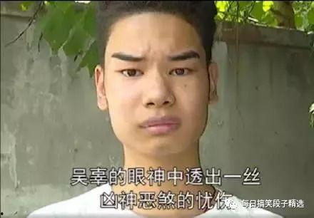 吃瓜道主,网络红人的崛起与影响力