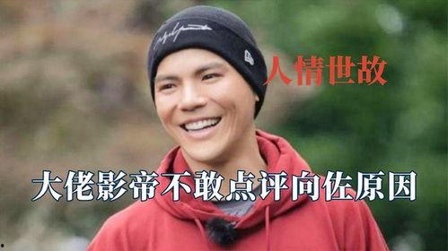 满朝文武在线吃瓜,在线吃瓜狂欢