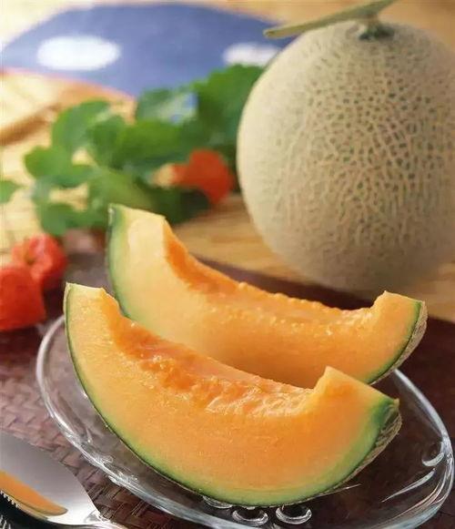 吃哈密瓜猿猴,探寻猿猴的饮食习惯与智慧