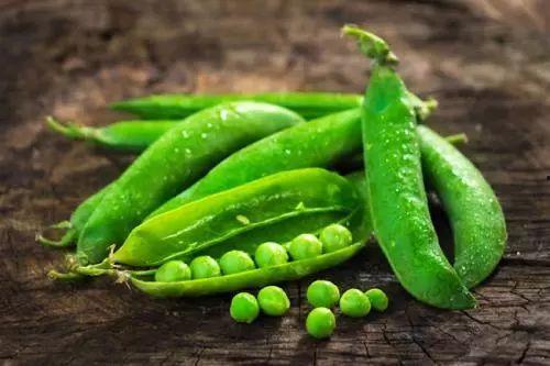 豆地里吃瓜,探寻传统农耕文化的魅力