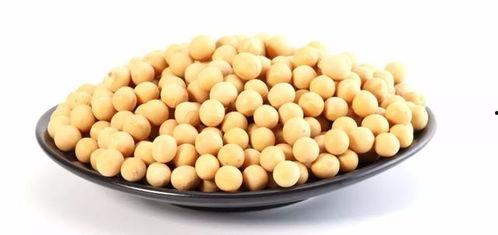 豆地里吃瓜,探寻传统农耕文化的魅力