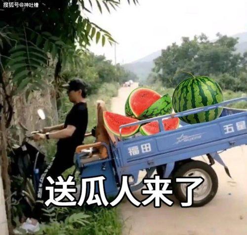 吃瓜看雨文案,笑看风云