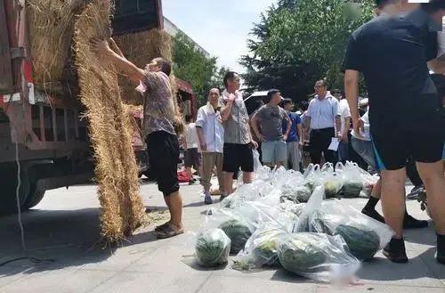 山师大叔吃瓜,揭秘校园热点背后的故事