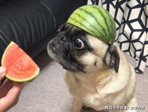 笨笨吃瓜小号,揭秘娱乐圈幕后故事