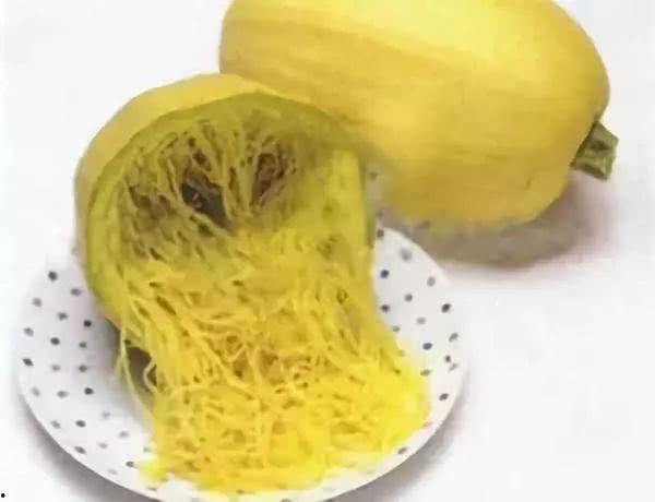 沉浸式吃金丝绞瓜,金丝绞瓜的味蕾之旅