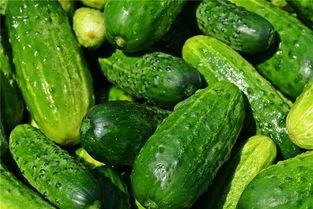 梦见自己拿瓜吃瓜,瓜果飘香，品味梦境中的甜蜜滋味