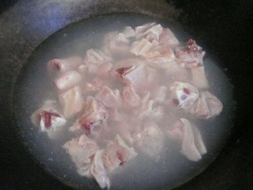 汤猪猪吃瓜,汤猪猪的瓜田奇遇记