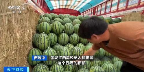 吃瓜放送08,一场娱乐界的狂欢盛宴