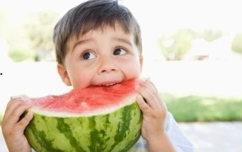 吃瓜放送08,一场娱乐界的狂欢盛宴