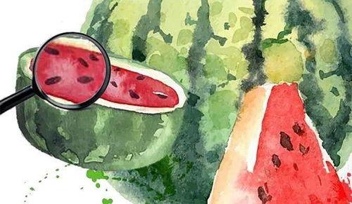 2020吃瓜汇总,盘点娱乐圈、社会热点中的那些“瓜”