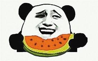 我喜欢吃瓜,探寻我最爱的瓜类美味之旅