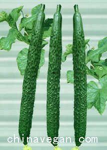 老年人吃瓜,老年人健康饮食新风尚