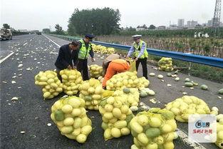 河南吃瓜小伙,揭秘民间美食背后的故事