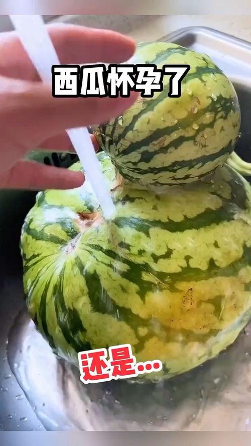 国外恶搞吃瓜视频,笑料百出，笑翻全球！