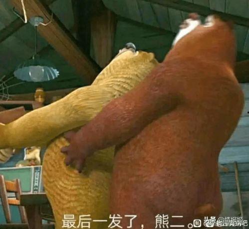 老哥现场吃瓜视频,老哥吃瓜视频，揭秘娱乐圈幕后真相