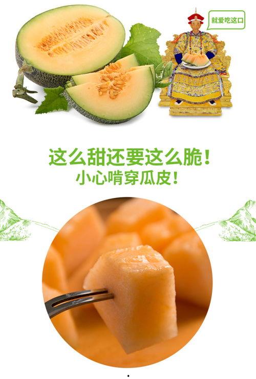 松鼠吃蜜瓜,蜜瓜盛宴中的欢乐时光