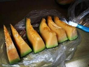 农大跳舞吃瓜,瓜果飘香共度欢乐时光