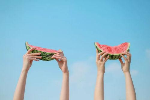 猎兔吃瓜,瓜田里的意外收获