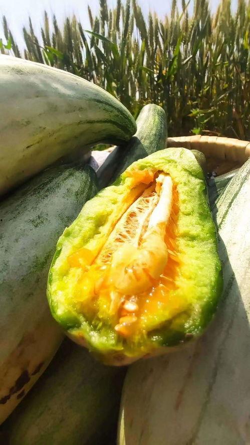 静等吃瓜,揭秘娱乐圈幕后风云