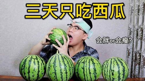 吃瓜的幸福时间,揭秘吃瓜的幸福瞬间