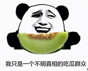 当当吃瓜群众原版,揭秘娱乐圈幕后真相