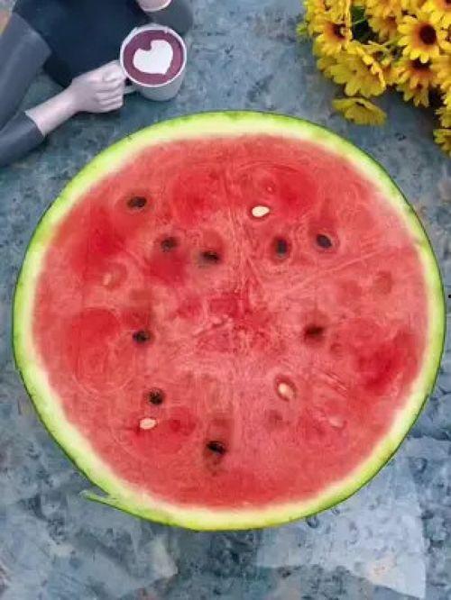 吃瓜神器自制教程,吃瓜神器教程大揭秘！