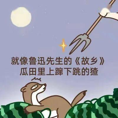 belike吃瓜吗,网络热词背后的社会文化现象