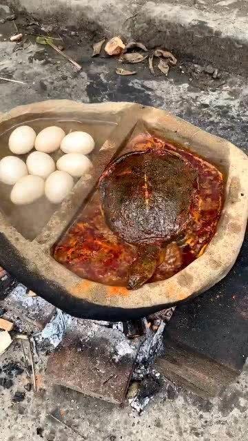 石瓜和甲鱼能一起吃吗