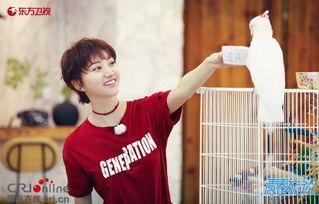 王源吃瓜速度,娱乐圈动态尽收眼底