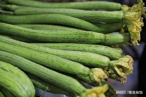 吃荷兰瓜去皮不,美味尽享