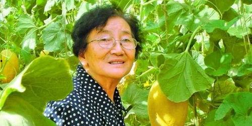 自由吃瓜 吴博,吴博带你领略轻松幽默的娱乐世界