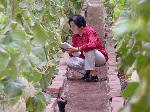 自由吃瓜 吴博,吴博带你领略轻松幽默的娱乐世界