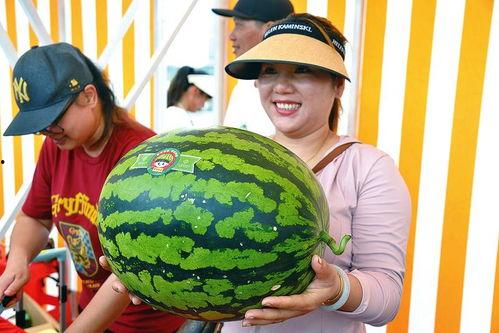 开心吃瓜了,揭秘娱乐圈幕后故事