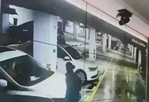 地下车库 吃瓜,揭秘车库生活百态
