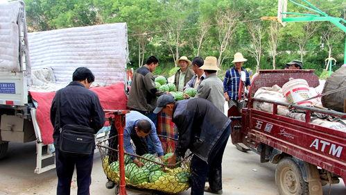 吃瓜群众岱 滴滴,滴滴背后的故事与争议