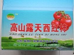 临朐吃瓜合作社,打造特色农业新名片